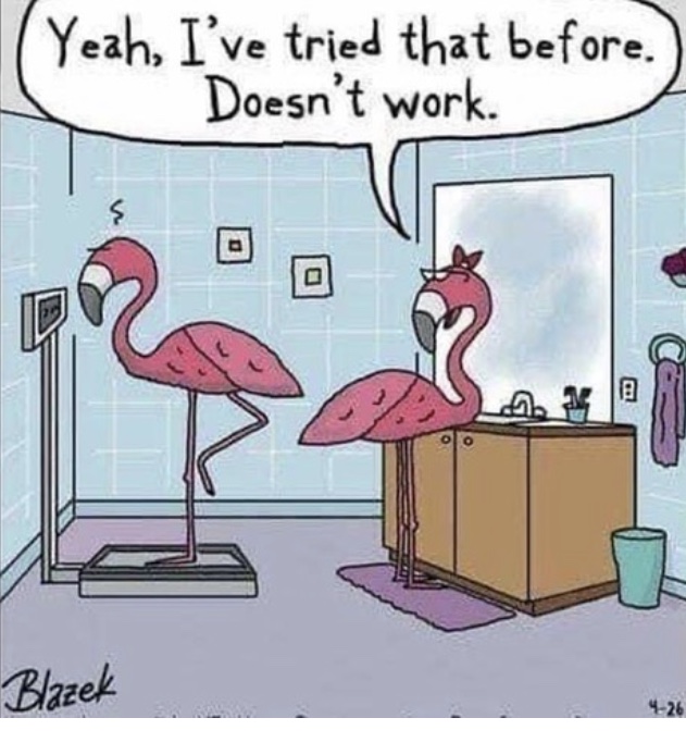 Two flamingos talking. One stands on a scale on one foot. The other says: "Yeah, I've tried that before. Doesn't work."