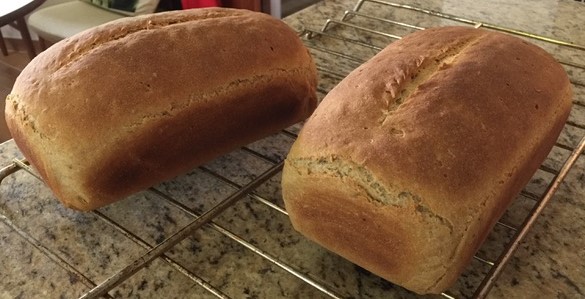 Two loaves of rye bread on a metal cooling rack